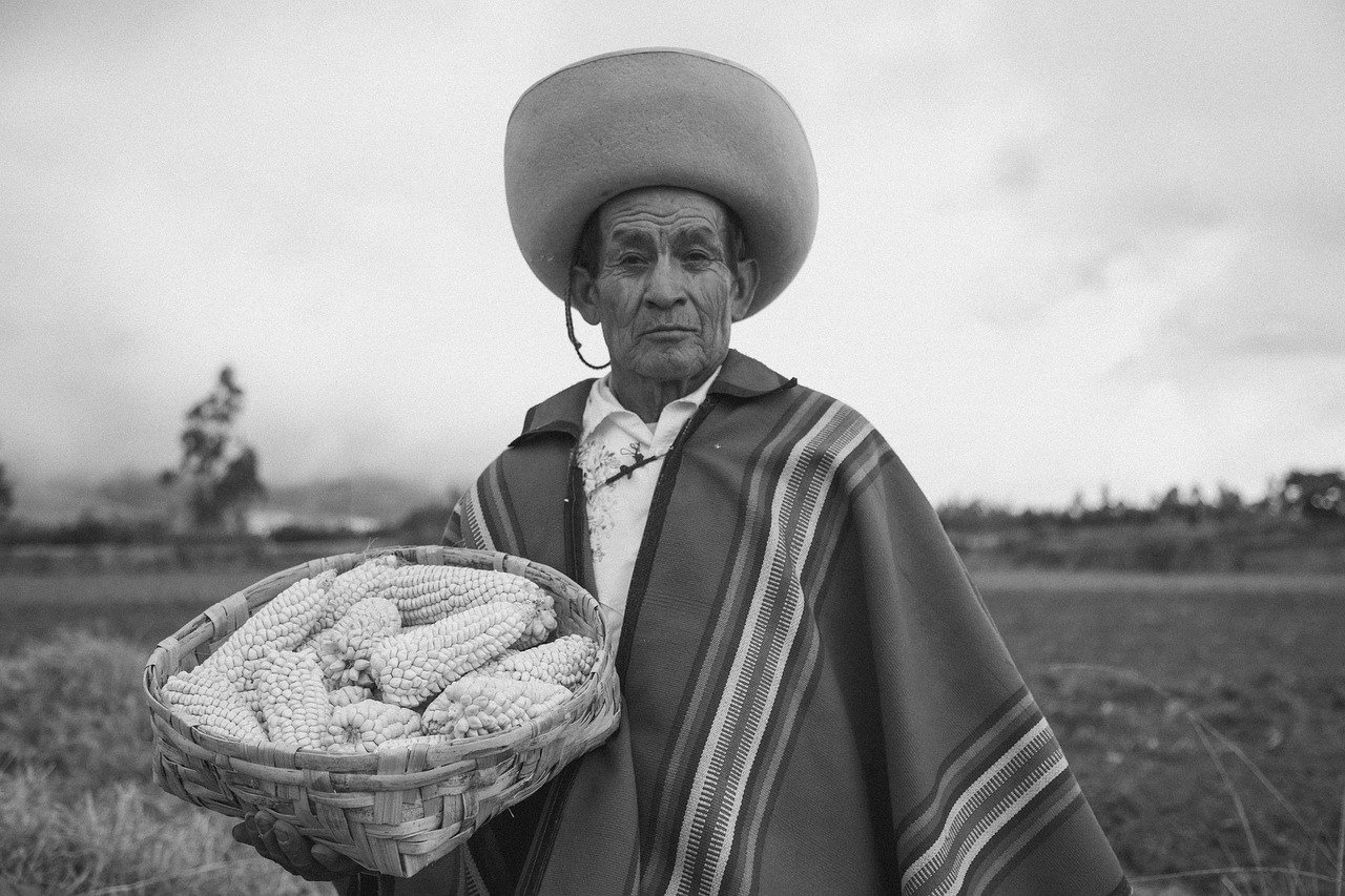 The History of Indigenous Peoples - Key Events and Struggles